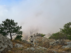 г. Демерджи 20211104_25.jpg